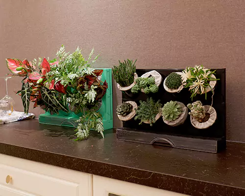 Les pots de fleurs colorés donnent à mes plantes l'impression d'être en vacances tous les jours