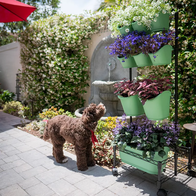 Cadre double de mur vert mobile en métal