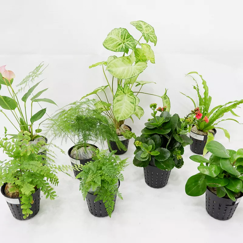 Jardinière intérieure en matériau PP de 3 pouces